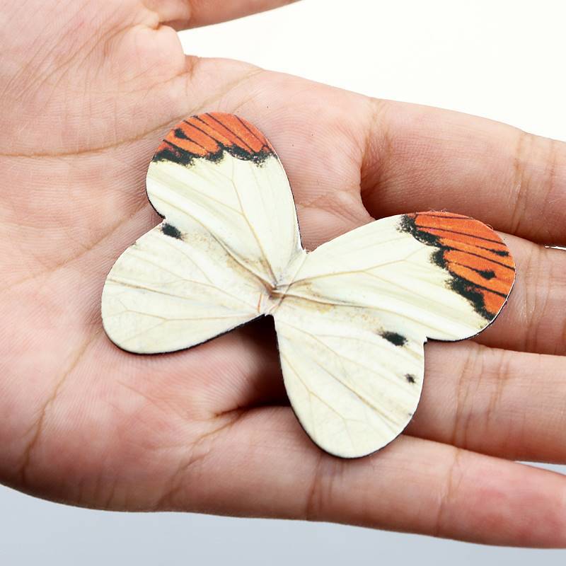 4pcs/Pack Beautiful Butterfly  - огляд і ціна Bookmark Magnetic Clip