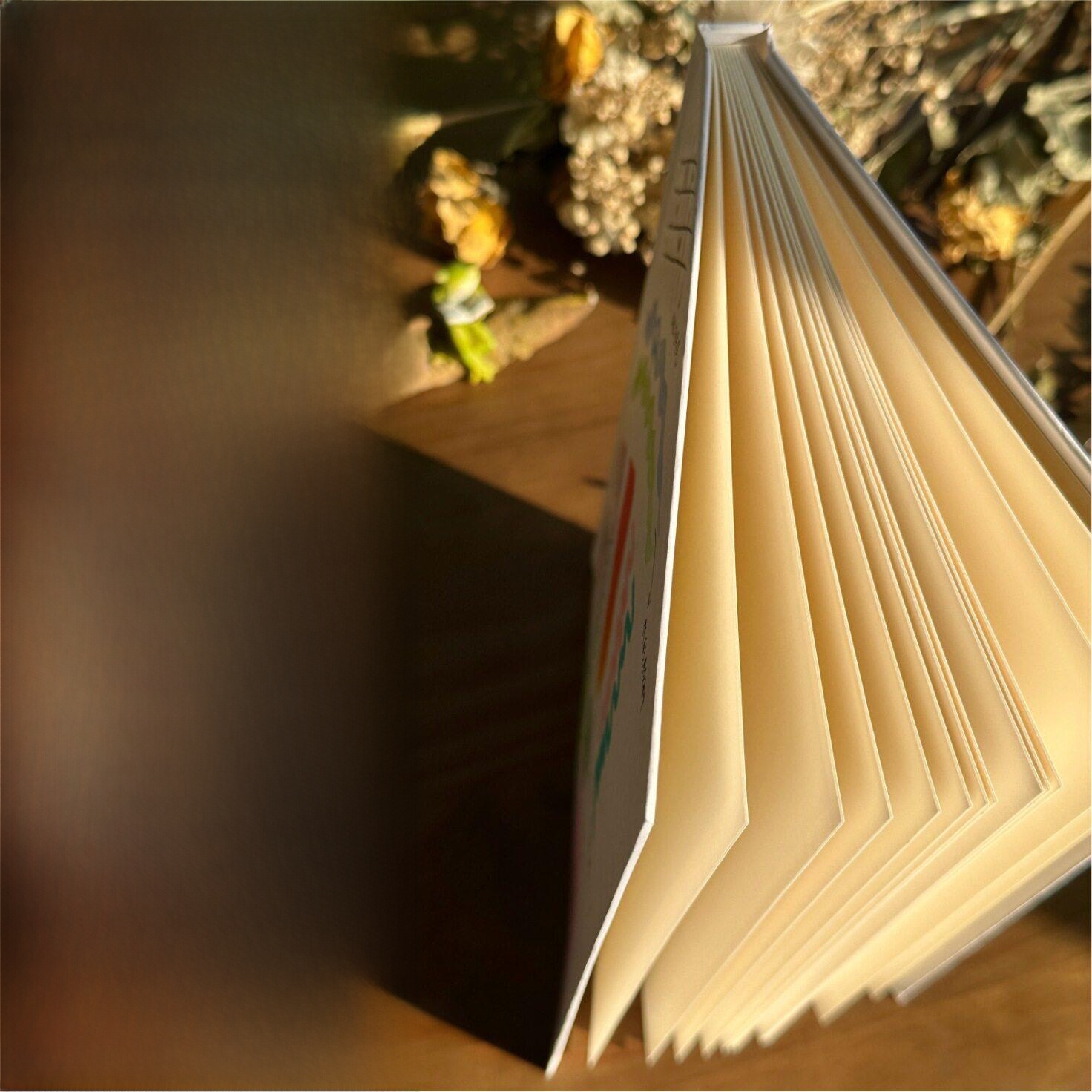 Hand Drawn Hard Cover Accordio - огляд і ціна Journal Leather Hardcover